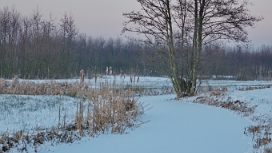 Landschappen Landscapes are a difficult subject in photography. The trick is to capture the 3-D image that we can see with our own...